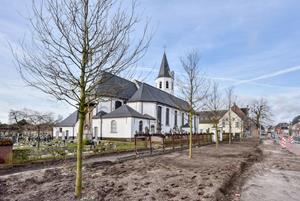zeven eiken zeveneken