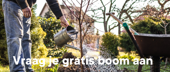 foto Vraag je gratis boom aan
